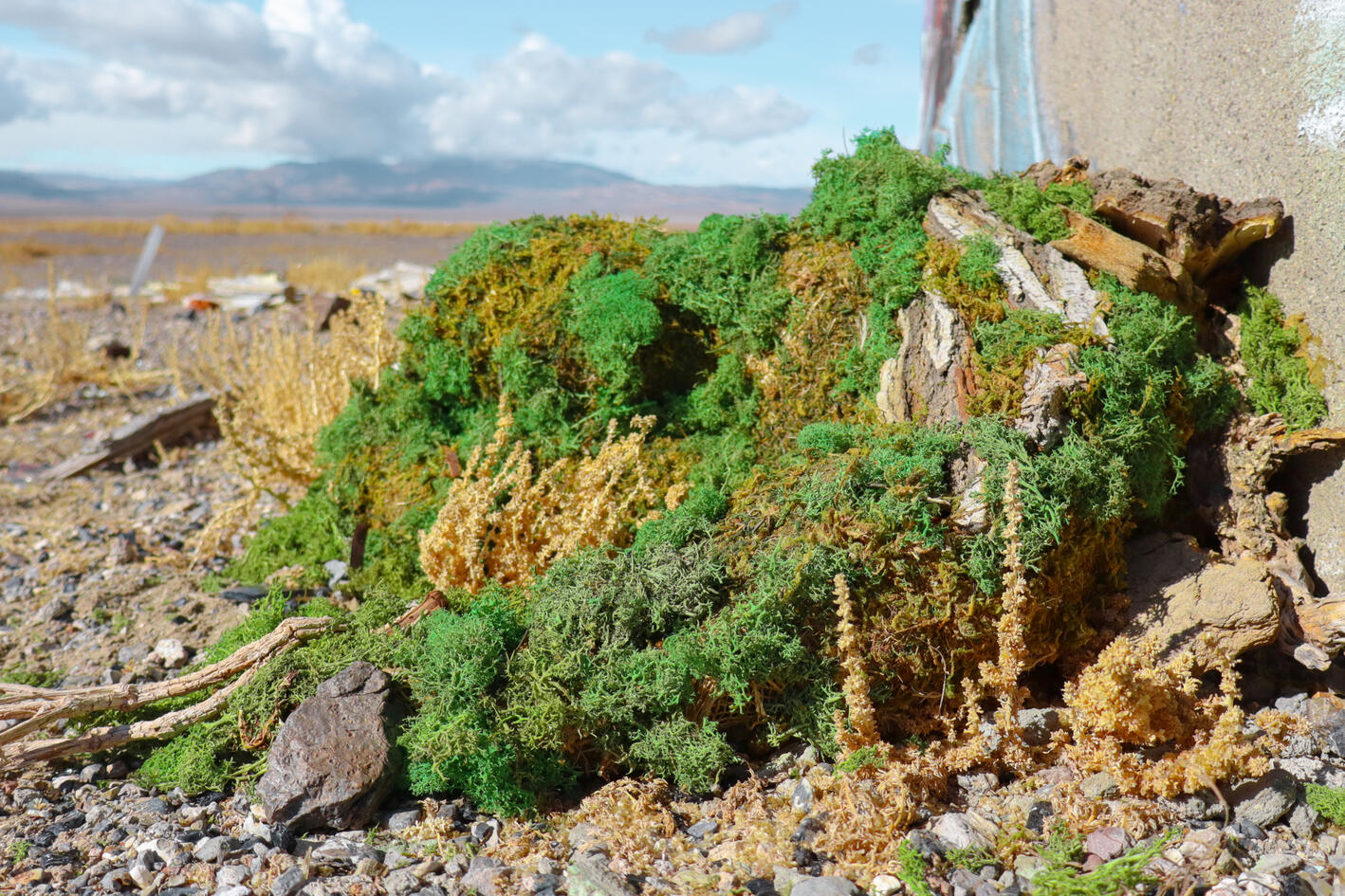 38.026728° N , -117.883653° W (2)