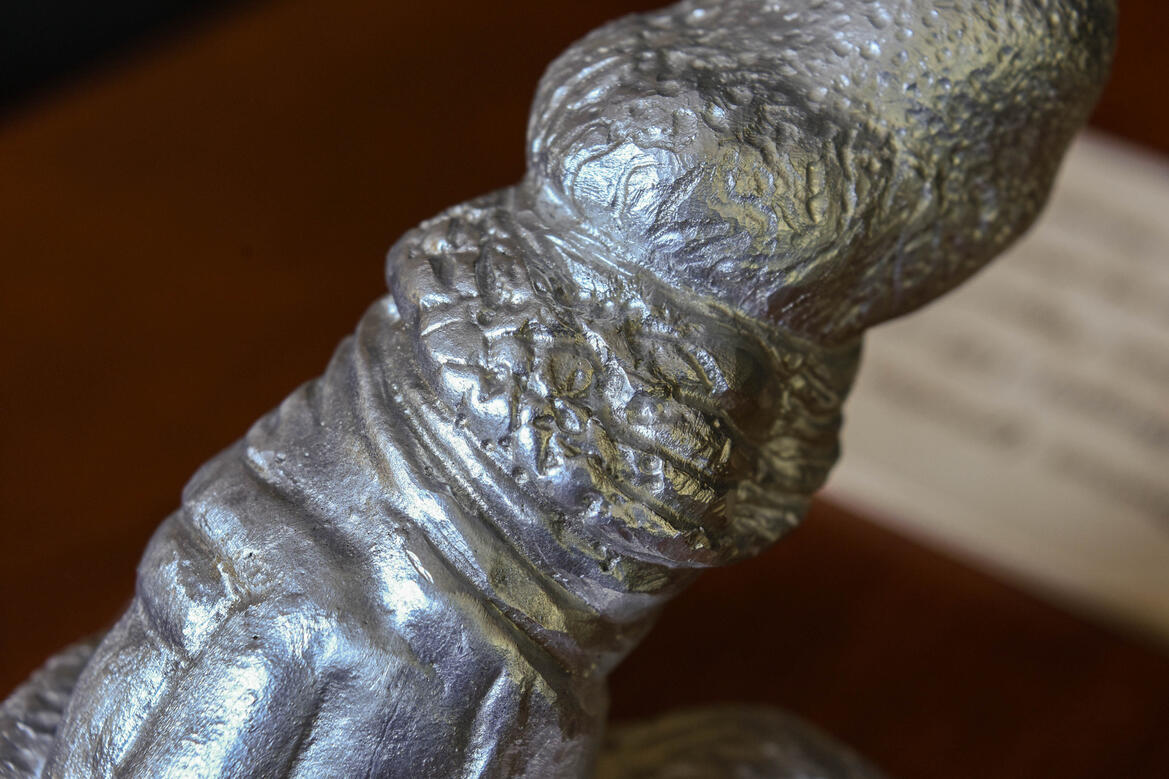 Trophy Hunting - Close Up (3)