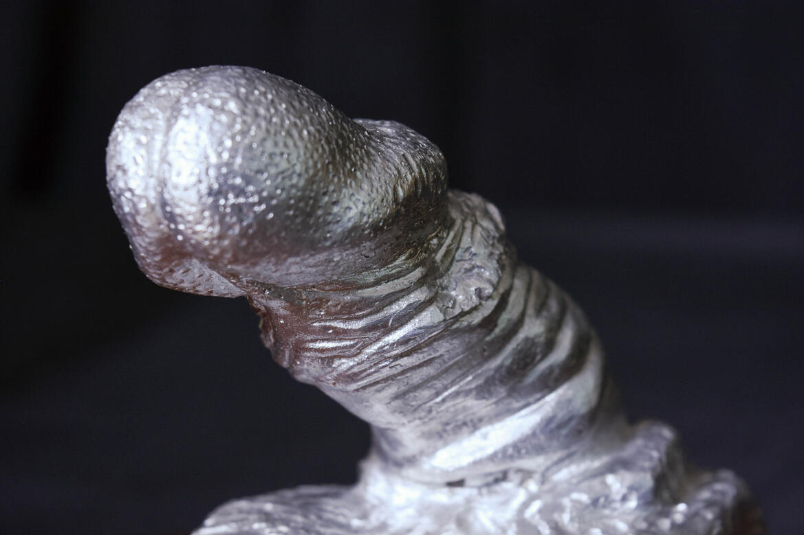 Trophy Hunting - Close Up (2)