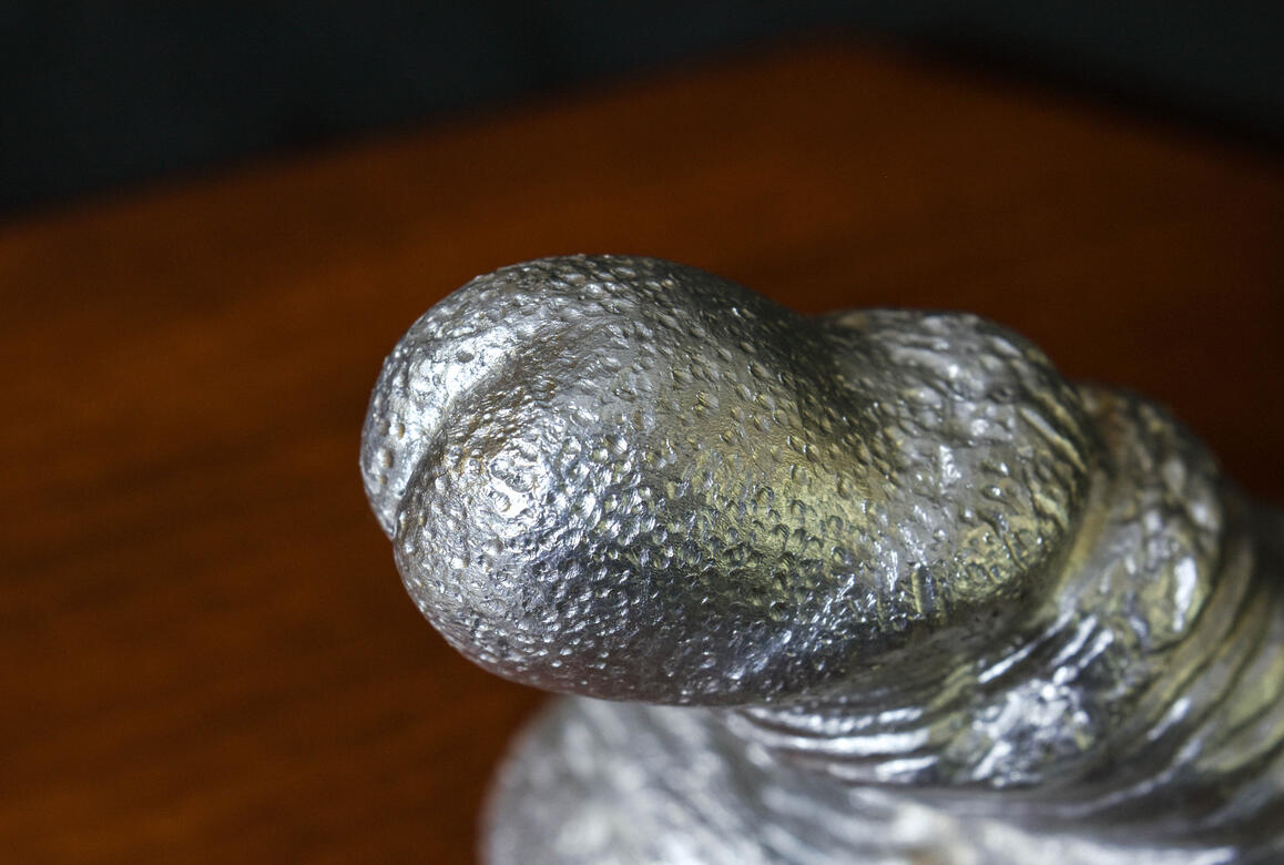 Trophy Hunting - Close Up (1)