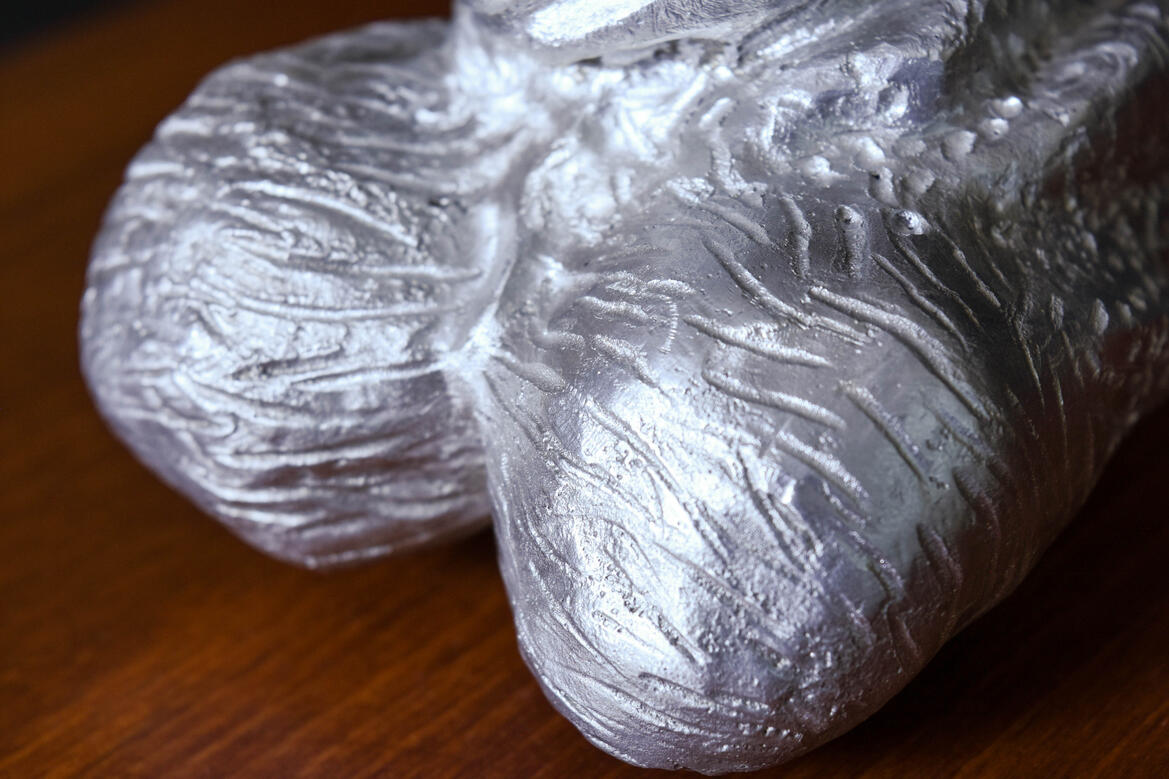 Trophy Hunting - Close Up (3)