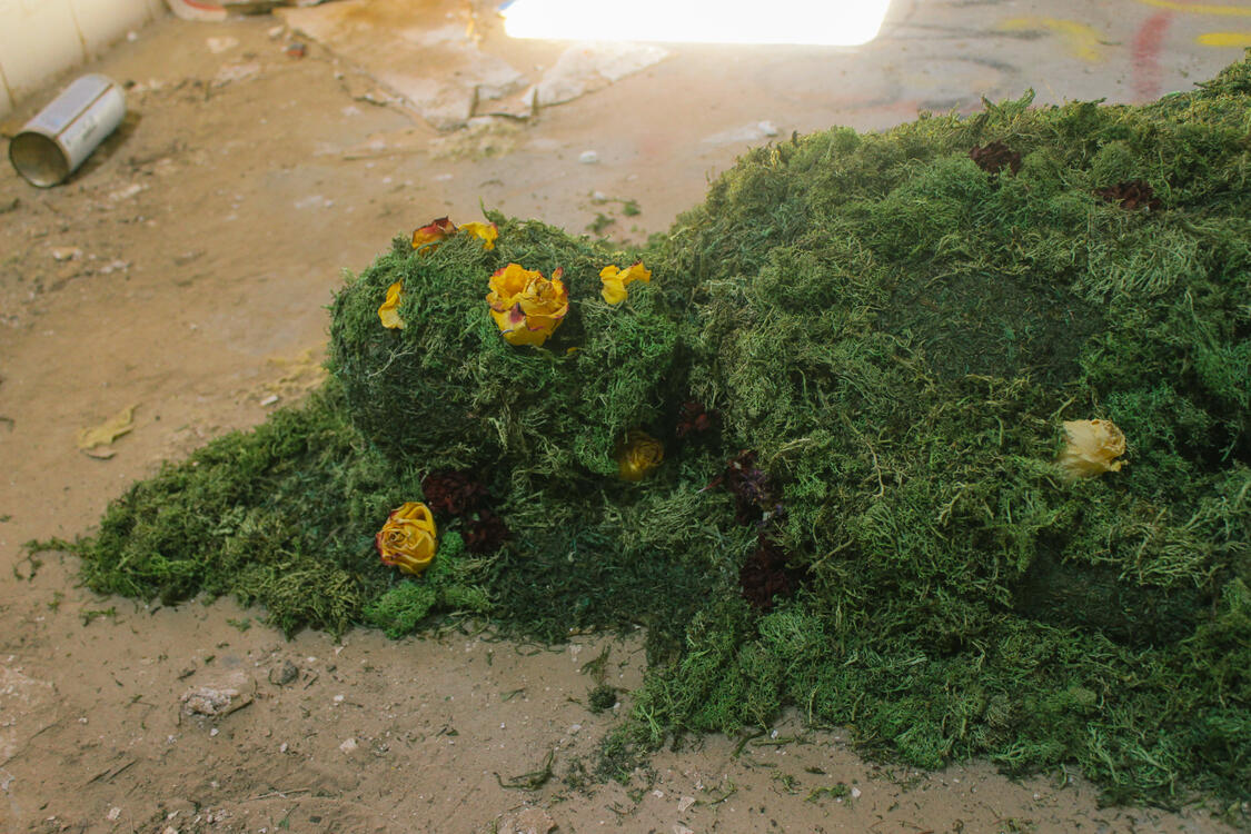 34.94818° N, 116.68449° W (2)