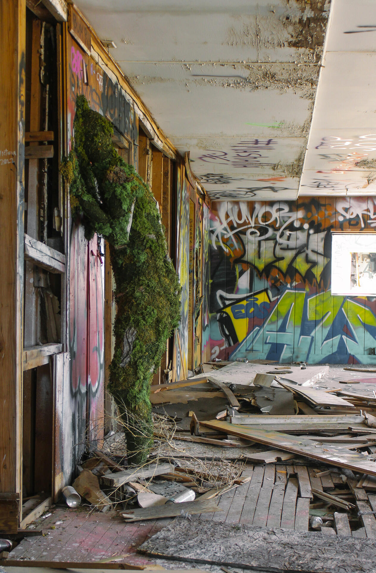 35.16110° N, 111.27925° W (1)