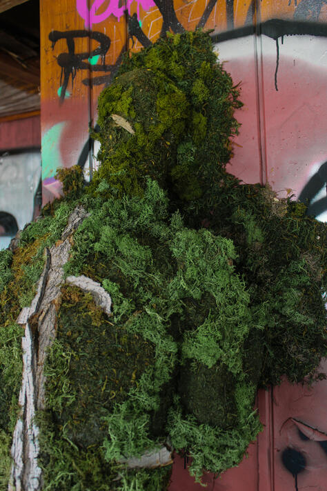 35.16110° N, 111.27925° W (6)