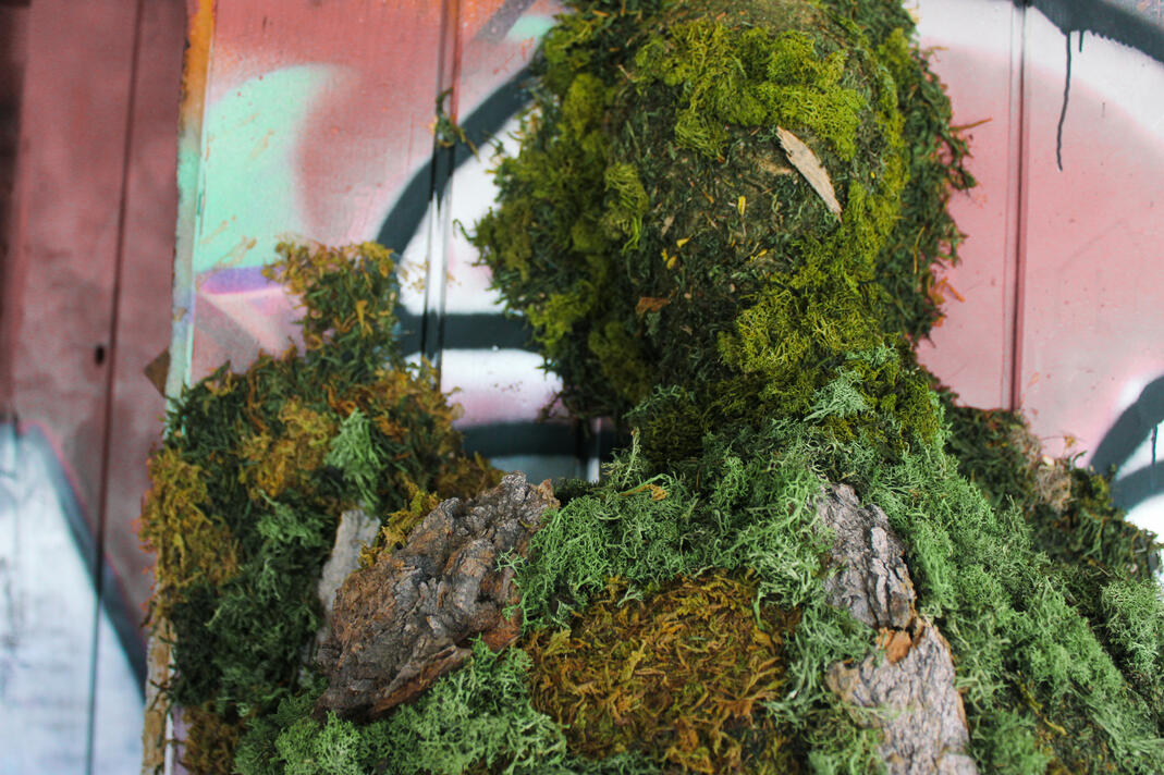 35.16110° N, 111.27925° W (5)