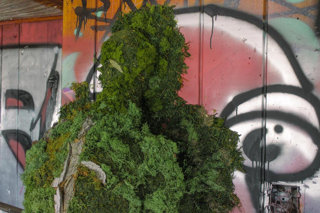 35.16110° N, 111.27925° W (4)