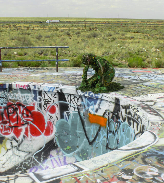 35.11321° N, 111.09202° W (6)