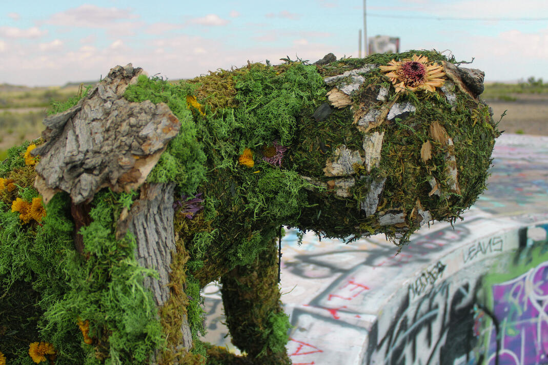 35.11321° N, 111.09202° W (4)