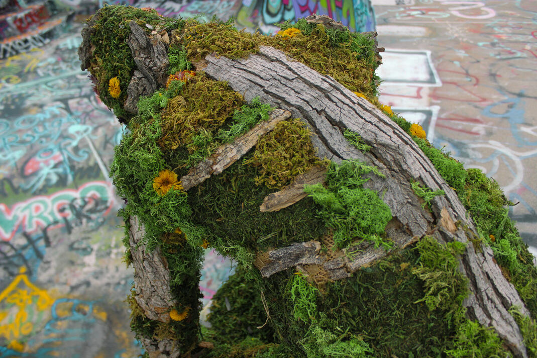 35.11321° N, 111.09202° W (5)