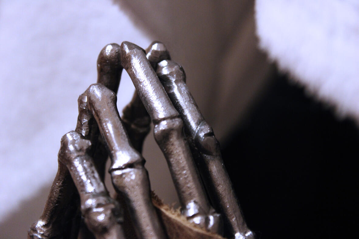 Guardian - Close Up (1)