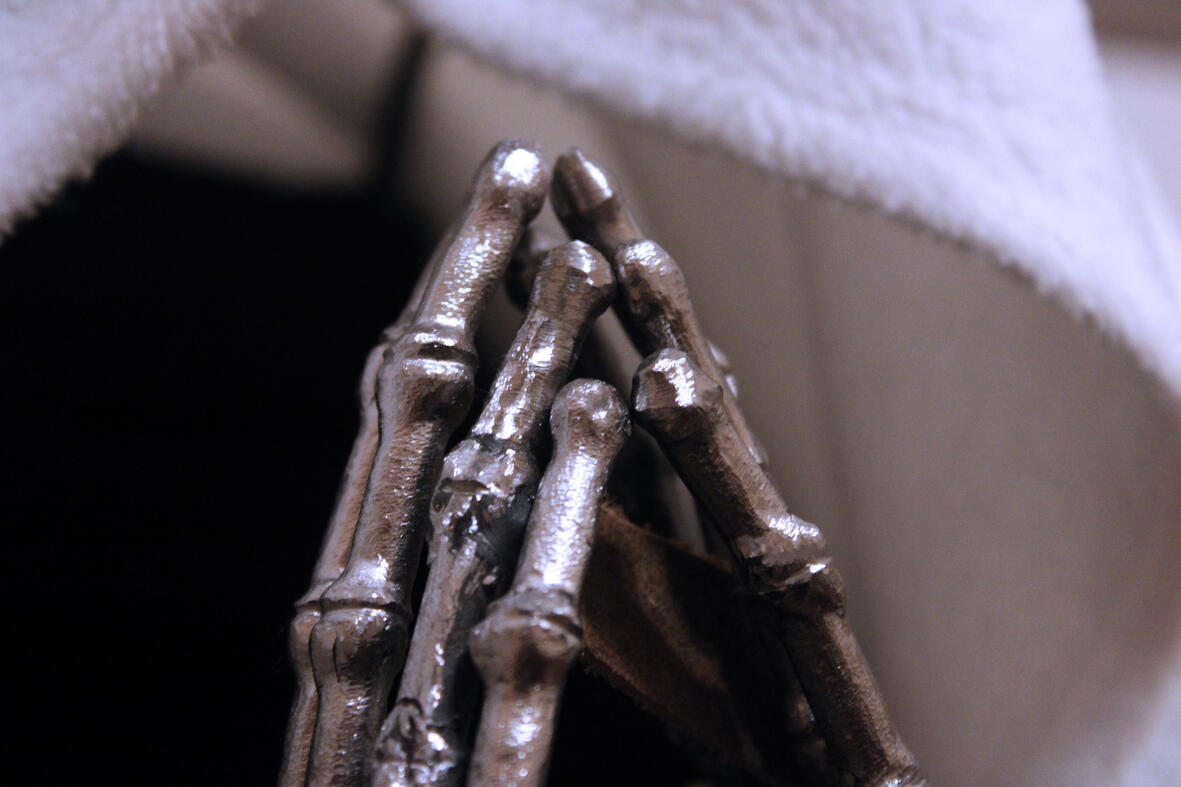 Guardian - Close Up (2)