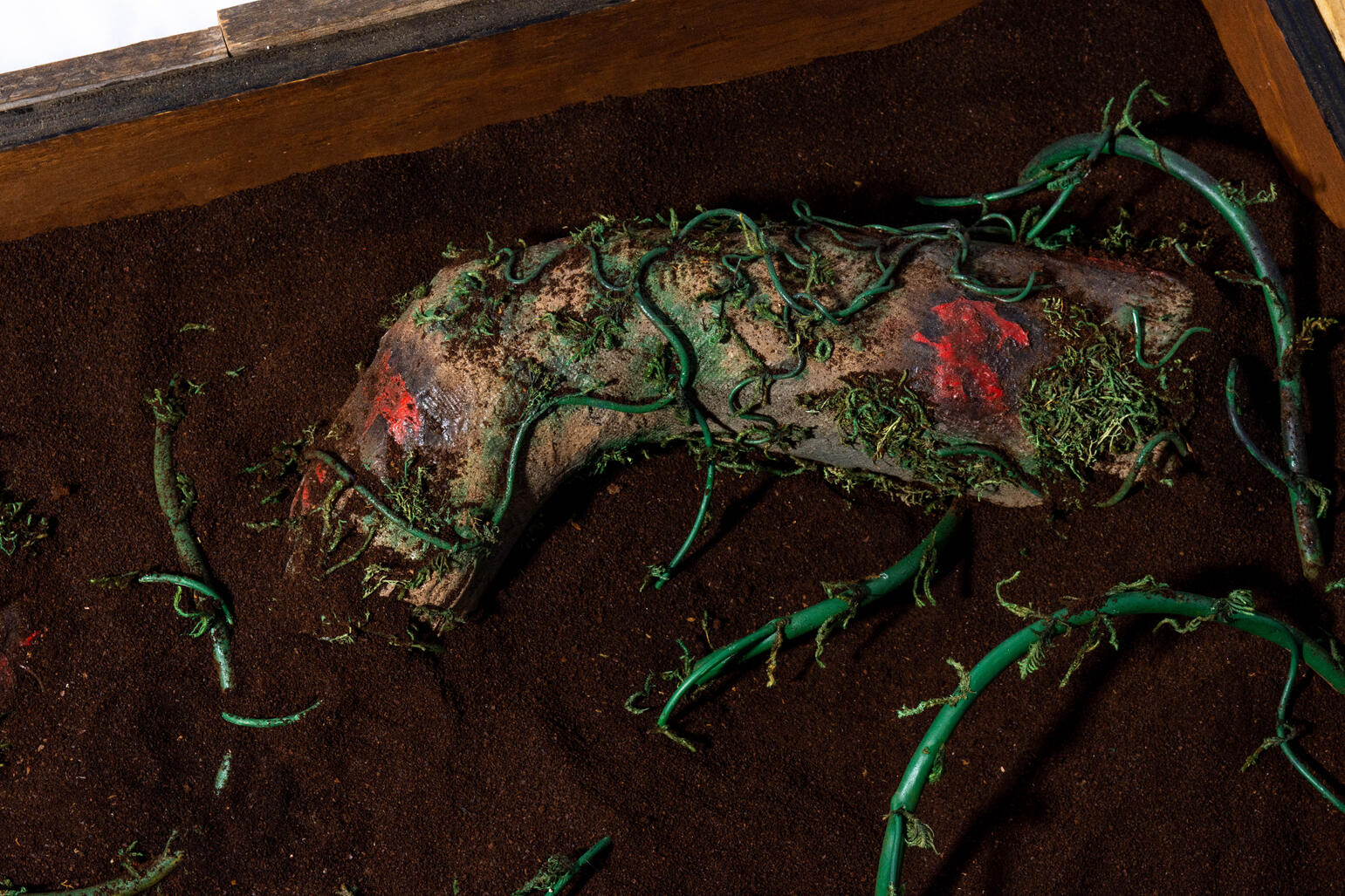 Sicriu - Close Up (3)