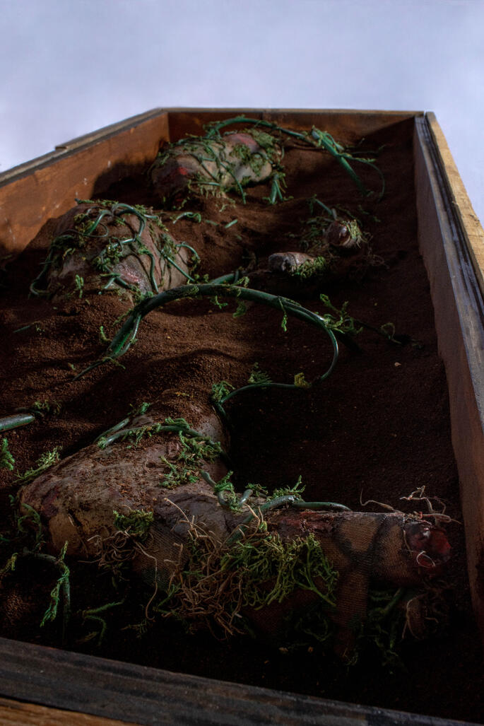 Sicriu - Close Up (1)