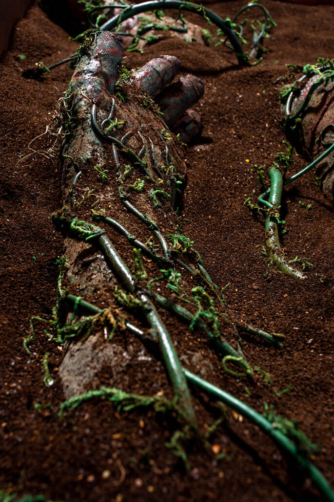 Sicriu - Close Up (2)