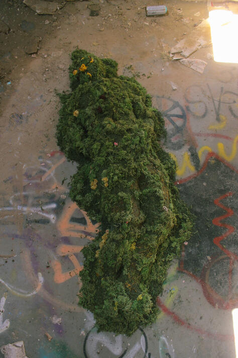 34.94818° N, 116.68449° W (6)