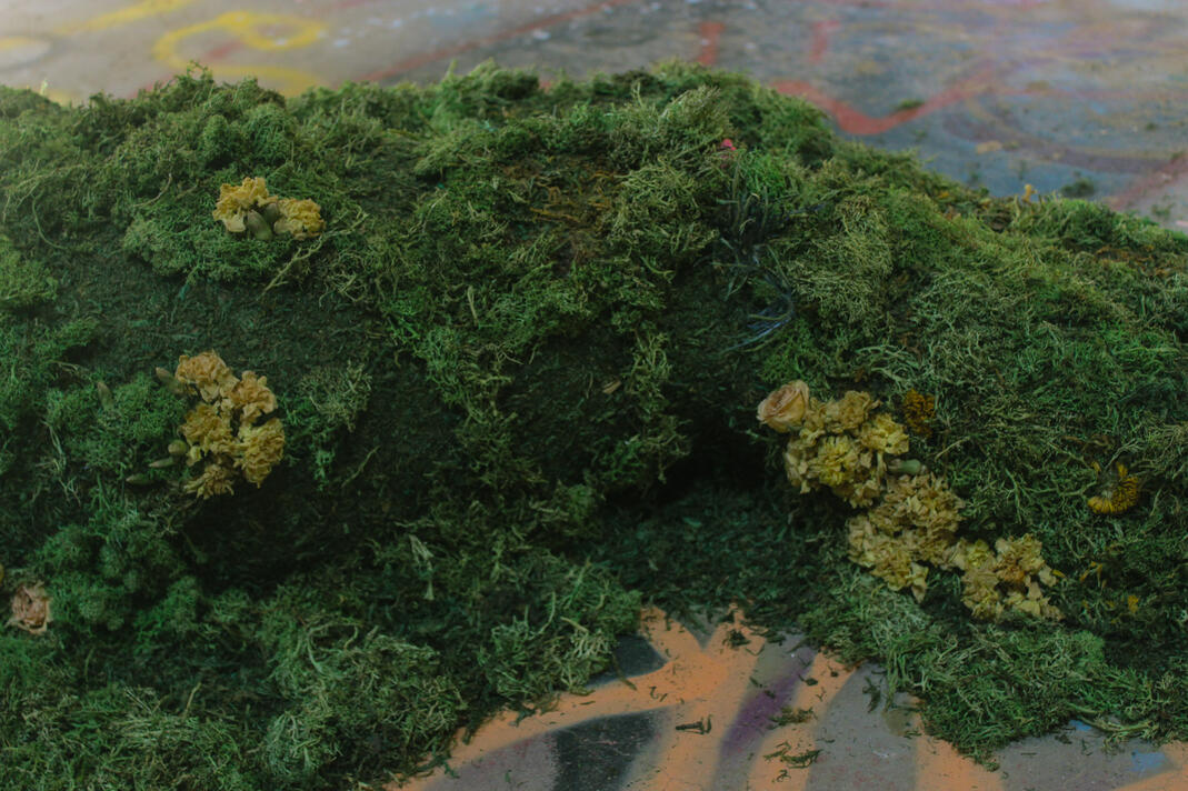 34.94818° N, 116.68449° W (5)