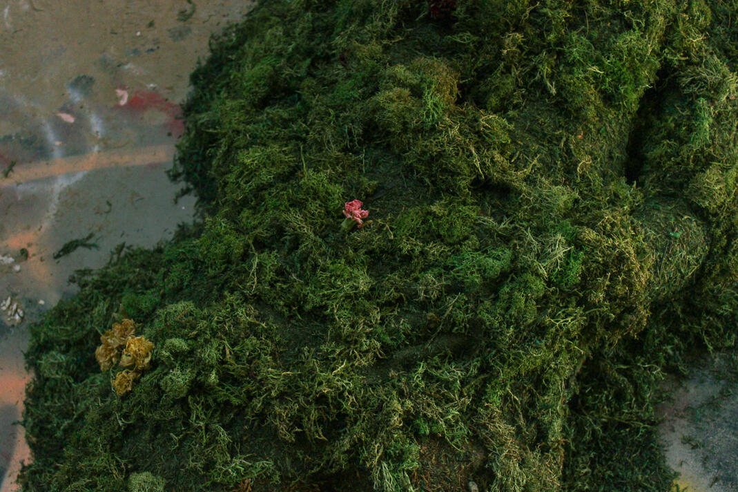 34.94818° N, 116.68449° W (4)